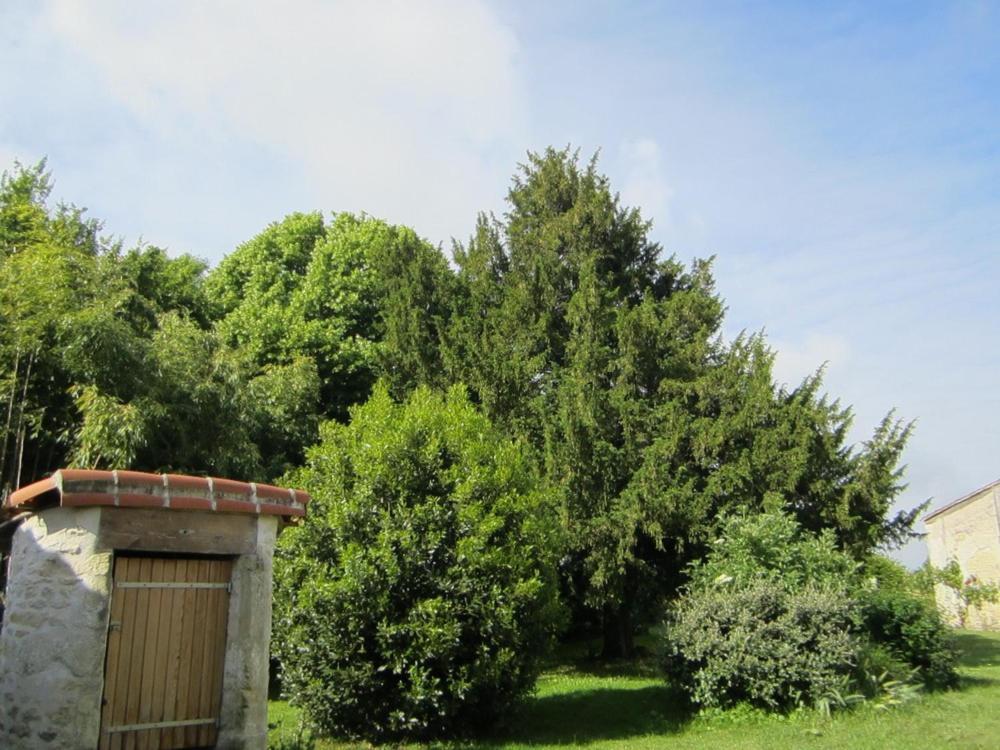 Les Cagouilles Bed & Breakfast Virson Exterior photo
